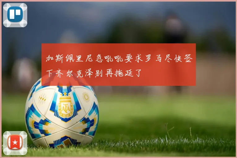 加斯佩里尼急吼吼要求罗马尽快签下齐尔克泽别再拖延了