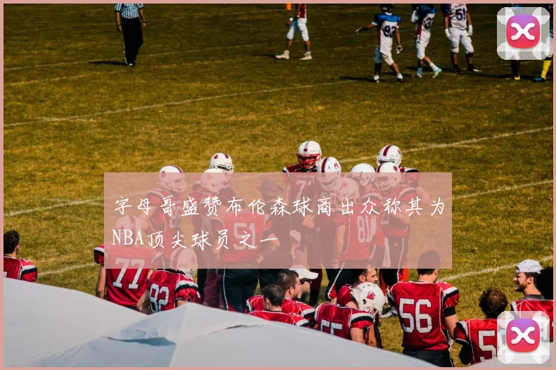 字母哥盛赞布伦森球商出众称其为NBA顶尖球员之一