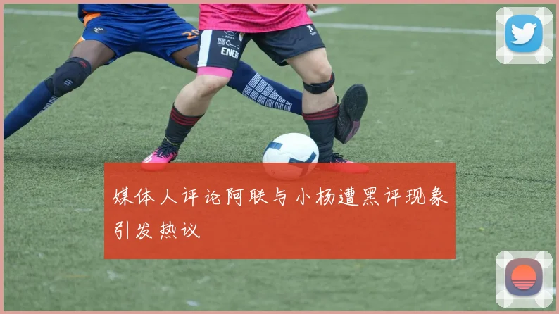 媒体人评论阿联与小杨遭黑评现象引发热议