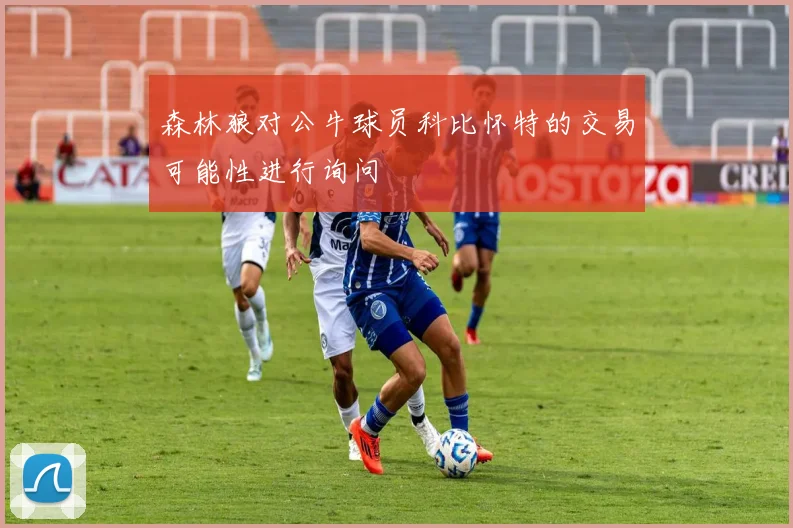 森林狼对公牛球员科比怀特的交易可能性进行询问