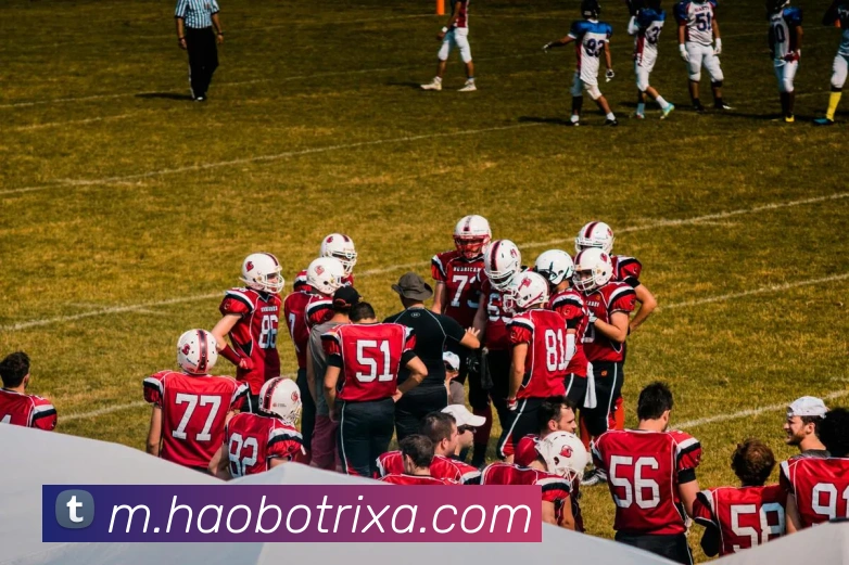 好博体育平台生态图